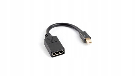 ADAPTER LANBERG MINI DISPLAYPORT - DISPLAYPORT