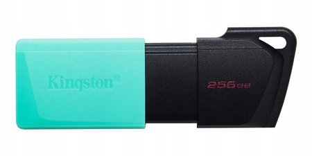 PENDRIVE KINGSTON 256GB DATATRAVELER EXODIA M USB